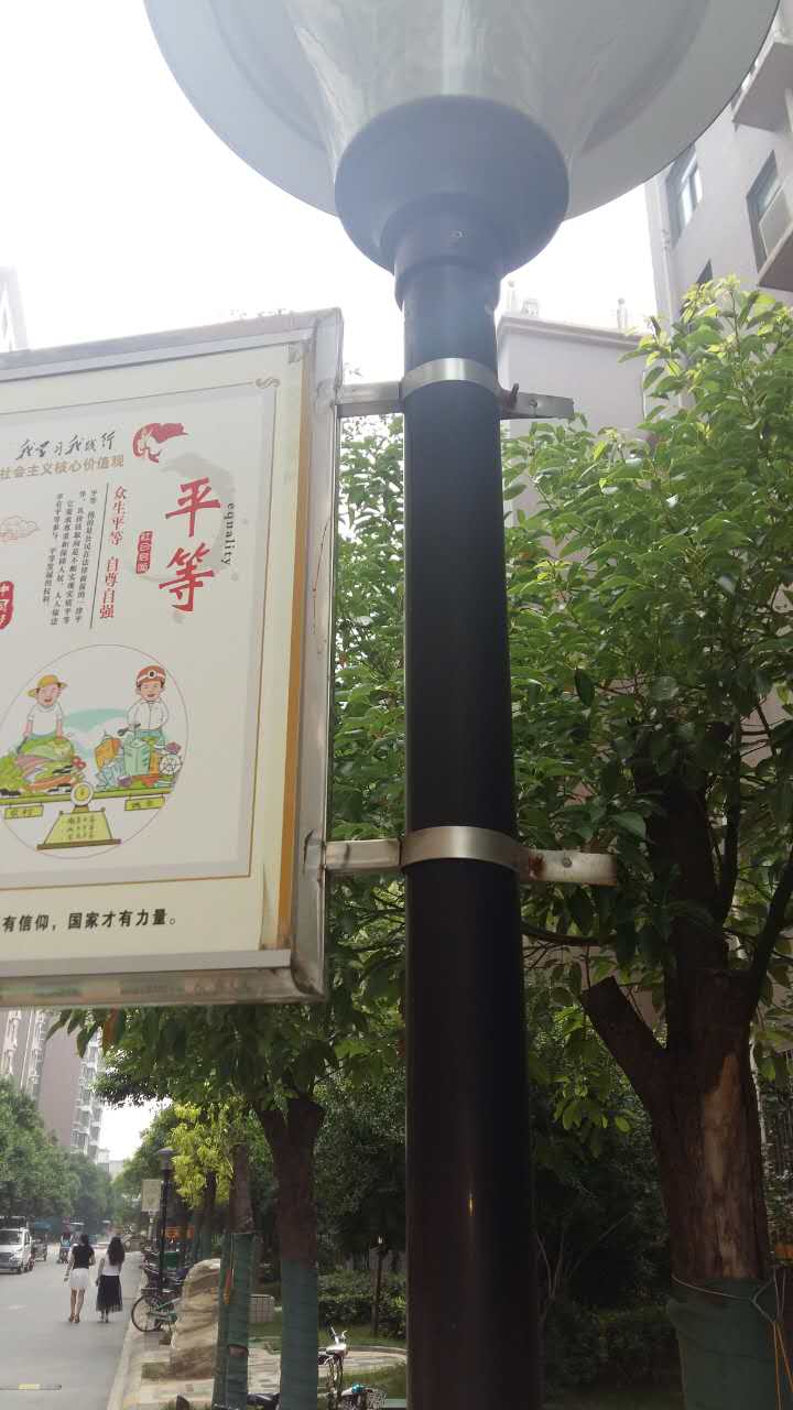 鍗曡噦閬撴棗.jpg