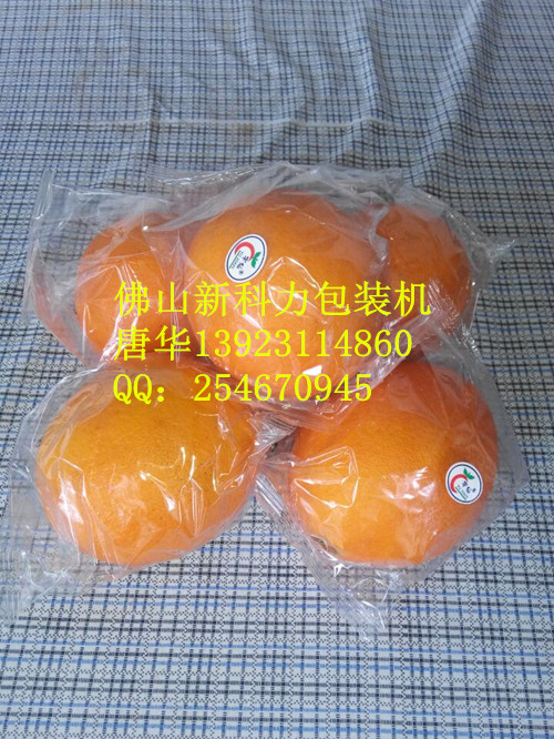 【杨氏果业供应商脐橙包装机批发价格(图)】_