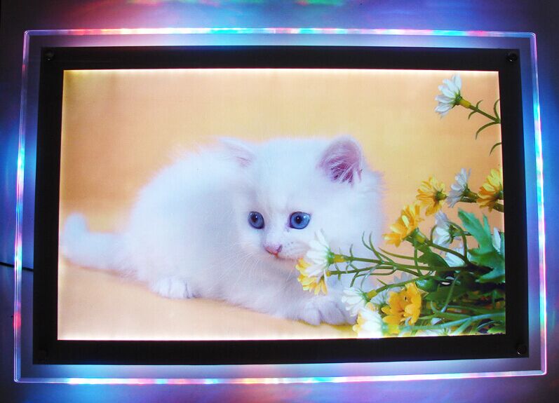 QQ图片20150317105700.jpg