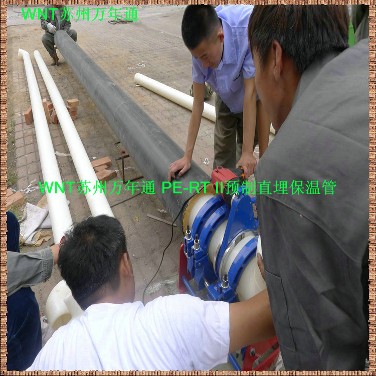 【辽宁沈阳】PE-RT II管--PE-RT II管厂家