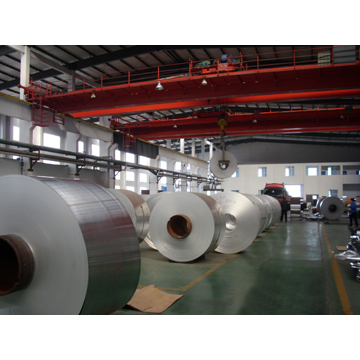 Aluminum coil for Curtain sheet