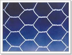 Hexagonal Wire Netting
