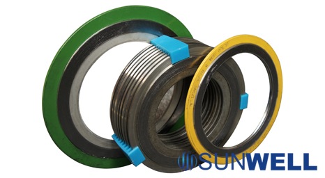 Spiral Wound Gasket with inner rings