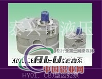 HY013X5100X25齿轮泵