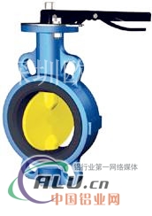 对夹式蝶阀