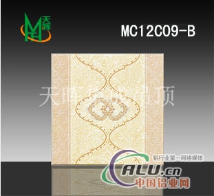 供应铝天花高等工艺MC12C09B