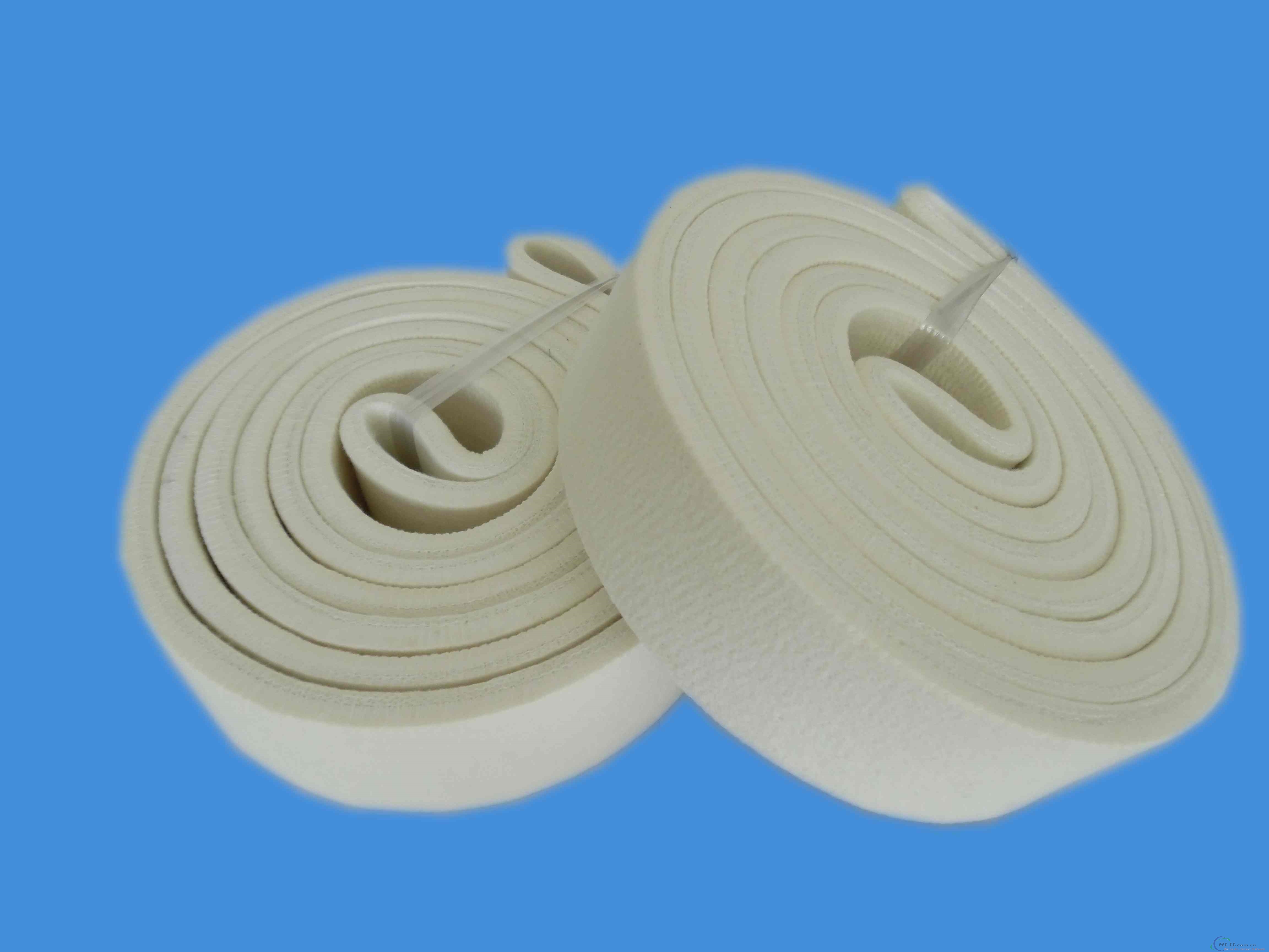 Polyester endless belt