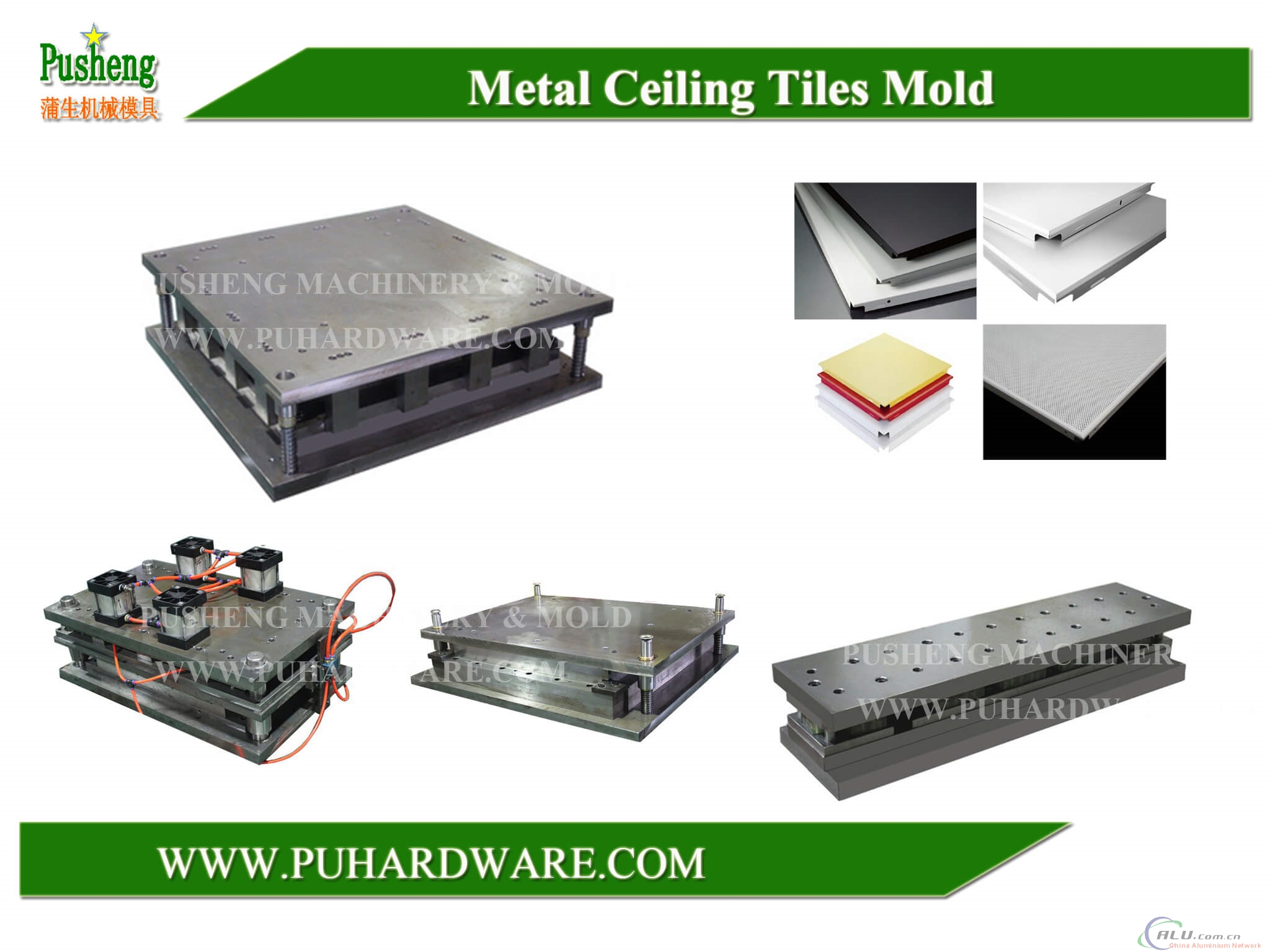 ceiling mold