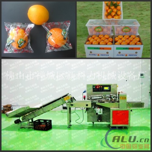 赣南橙子包装机，自动脐橙包装机