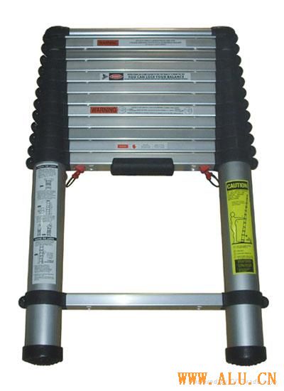 Telescopic Ladder with EN-131