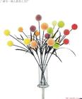 Supply   1Man-made Fruit  City homotopy Import2