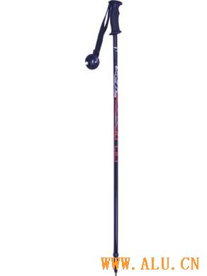 Aluminium Ski Pole