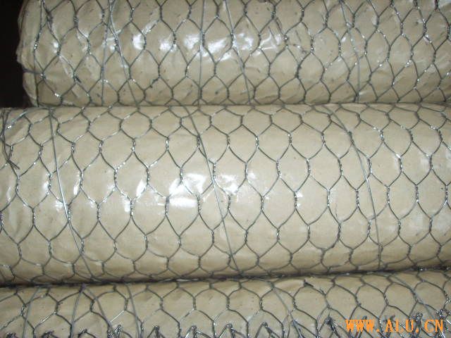 hexagonal wire netting
