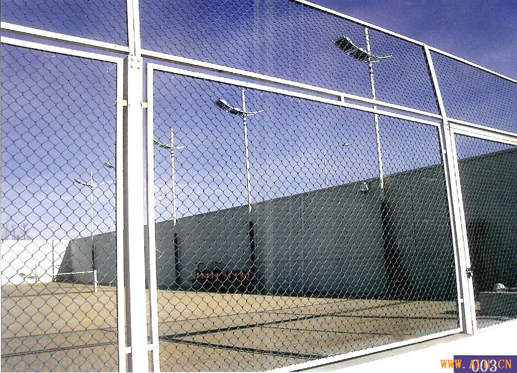 wire mesh fence