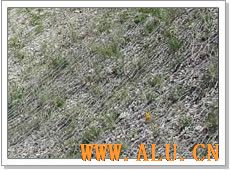 Wire Mesh Mattress