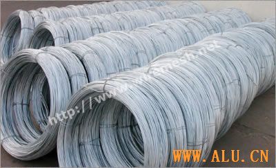 Wire Mesh Belt