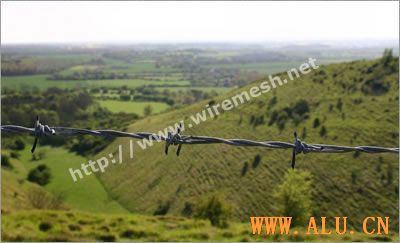 Expanded Metal Mesh