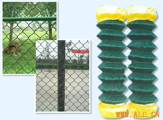 Galvanized Chain Link Fence