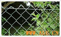 Chain Link Fence