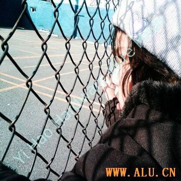Chain Link Fence