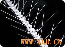 Bird Spikes 