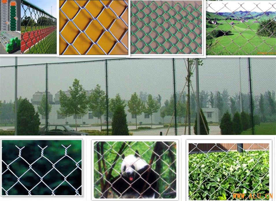 Chain Link Fence