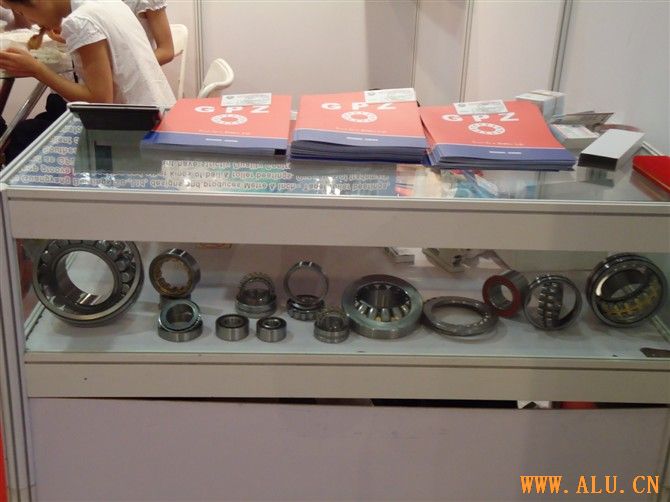 DYZEbearing
