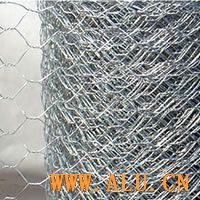 S.S HEXAGONAL WIRE MESH