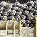  GABION SACKS