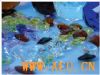 Accessories of crystal water heating-Longxiang
