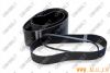 Poly-V(Ribbed) Belts