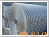 Galvanized Welded Mesh
