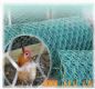 Chicken Wire Netting