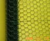 Hexagonal wire netting