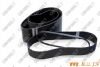 Poly V-Belts(Ribbed Belts)/Rubber belt/timing belt