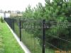 Wire Mesh Fence