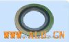 Spiral Wound Gaskets