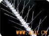 Bird Spikes