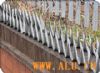 Wall Spike Fences