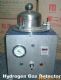 hydrogen gas detector