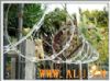Razor barbed wire