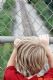 chain link fence