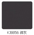 KJ8856 