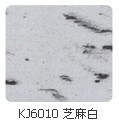 KJ<em>6010</em>֥ܰ ۸