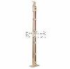 Aluminum Column 302 Champagne