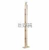 Aluminum Column 310 CHAMPAGNE