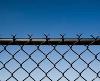 sell Black Chain Link Fences