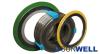 Spiral Wound Gasket with inner rings