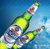 Aluminium Foil in Jumbo roll for Beer mark