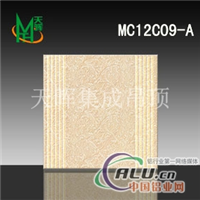 供应铝天花高等工艺MC12C09A